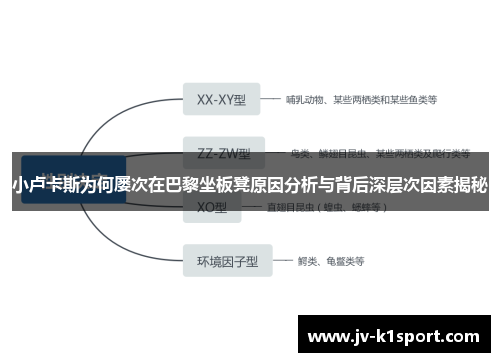 小卢卡斯为何屡次在巴黎坐板凳原因分析与背后深层次因素揭秘